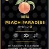 ace ultra premium case​