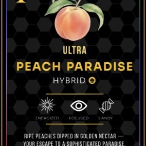 ace ultra premium case​